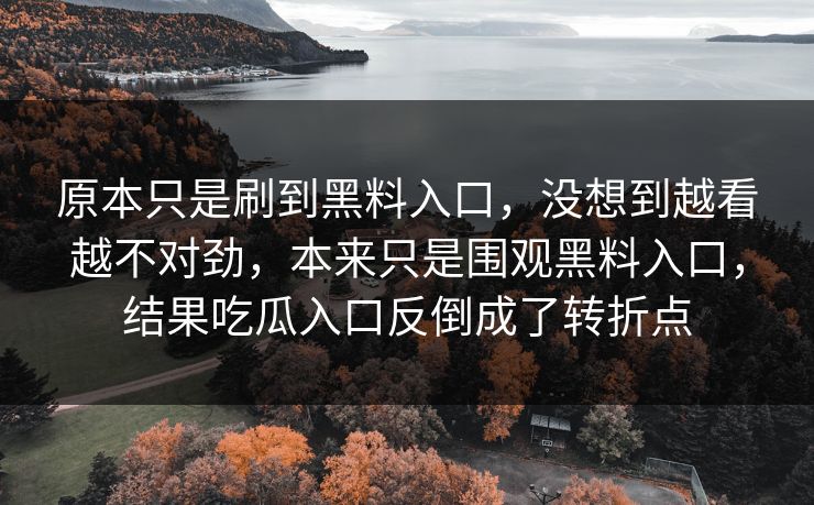 原本只是刷到黑料入口，没想到越看越不对劲，本来只是围观黑料入口，结果吃瓜入口反倒成了转折点