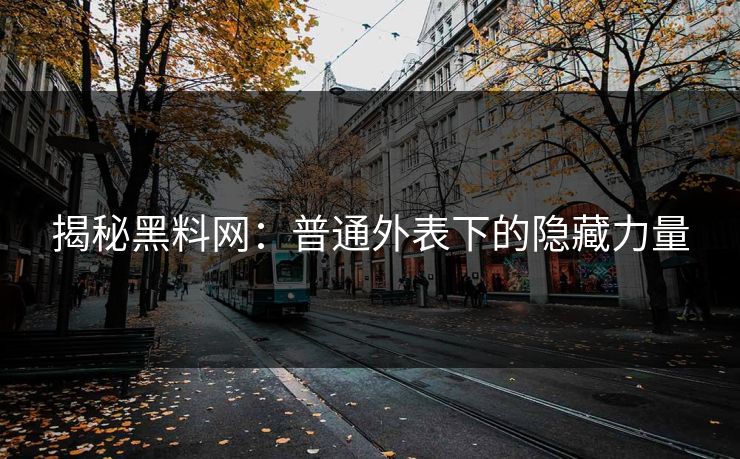 揭秘黑料网：普通外表下的隐藏力量