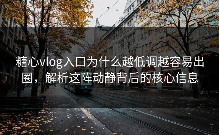 糖心vlog入口为什么越低调越容易出圈，解析这阵动静背后的核心信息
