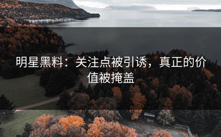 明星黑料：关注点被引诱，真正的价值被掩盖  第1张