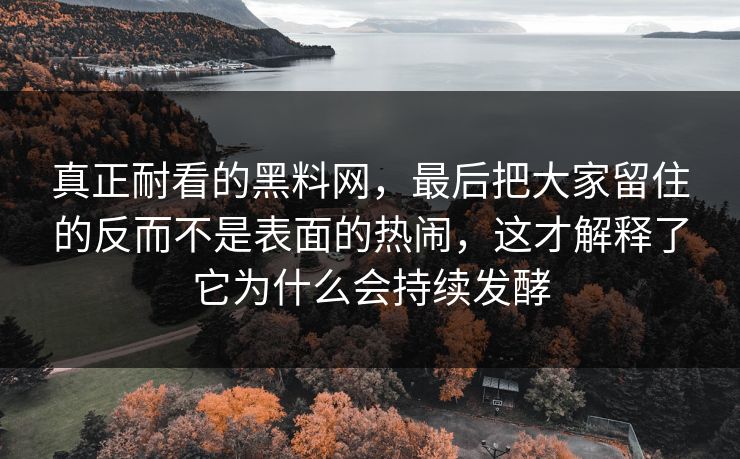真正耐看的黑料网,最后把大家留住的反而不是表面的热闹,这才解释了它为什么会持续发酵 第1张 真正耐看的黑料网,最后把大家留住的反而不是表面的热闹,这才解释了它为什么会持续发酵 第1张