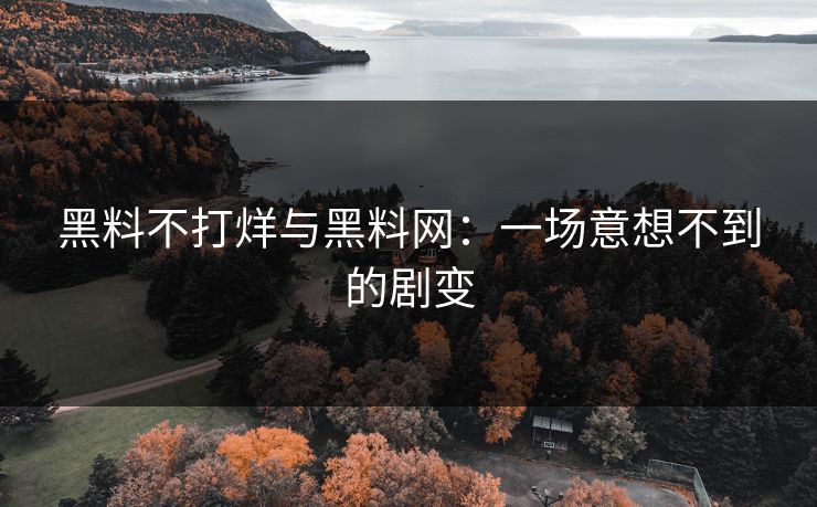 黑料不打烊与黑料网：一场意想不到的剧变  第1张