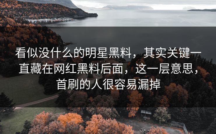 看似没什么的明星黑料,其实关键一直藏在网红黑料后面,这一层意思,首刷的人很容易漏掉 第1张 看似没什么的明星黑料,其实关键一直藏在网红黑料后面,这一层意思,首刷的人很容易漏掉 第1张