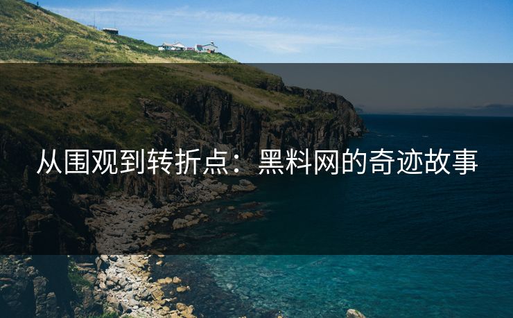 从围观到转折点：黑料网的奇迹故事