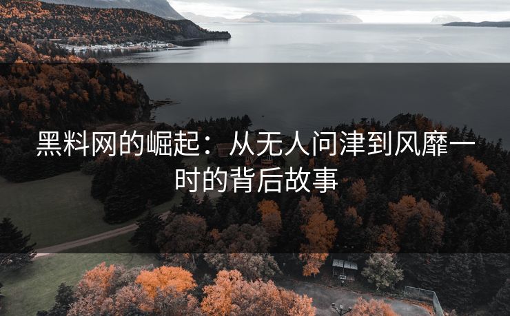 黑料网的崛起：从无人问津到风靡一时的背后故事