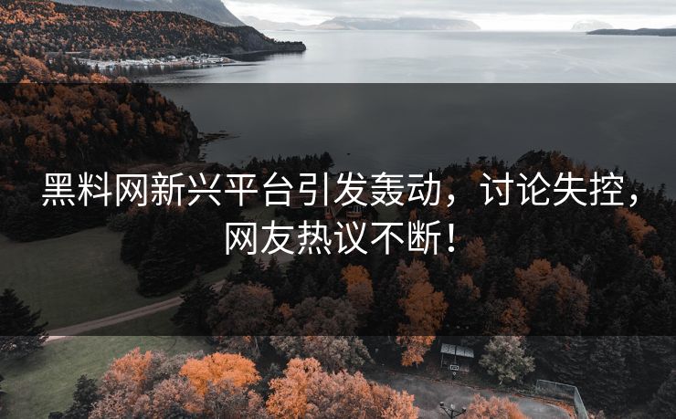 黑料网新兴平台引发轰动，讨论失控，网友热议不断！  第1张